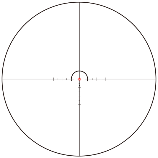 VictOptics S10 1-10x24 LPVO Scope |  Various Airgun Shooting (OPSL37/OPSL39)