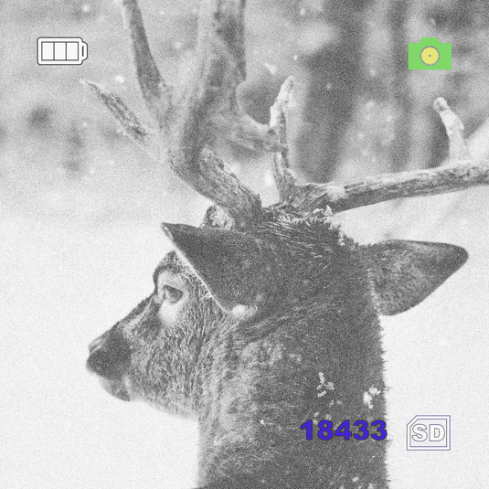 Owltron 5x32 Digital Day & Night Vision Monocular - Vector Optics Online Store